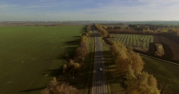 Luchtfoto van auto rijden door zonnige herfst. 4k — Stockvideo