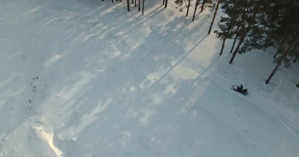 Turister på Skoteräventyr rida i skogsklädda winter wonderland. — Stockvideo