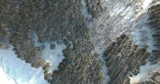 Luftaufnahme. Rotation über schneebedecktem Wald — Stockvideo