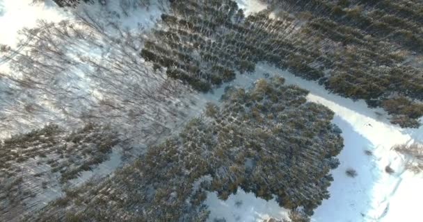冬季针叶林与直升机。空中4k — 图库视频影像