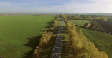 En iyi görünümü karayolu trafik. Sonbahar akşam. 4k