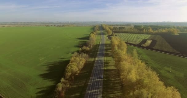 Vue du dessus Autoroute Trafic routier. Soirée d'automne. 4K — Video