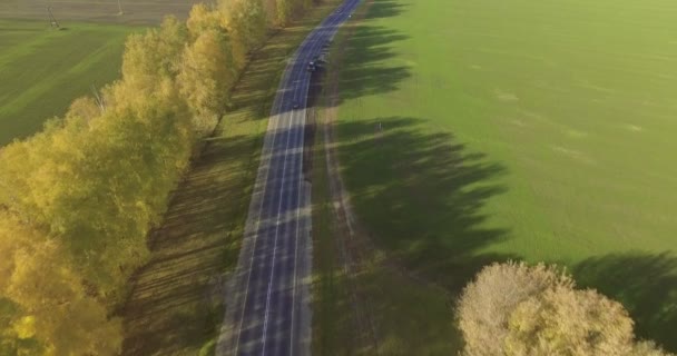 Vista aérea na estrada com carros. Noite de outono — Vídeo de Stock