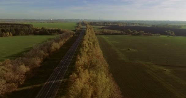 Αεροφωτογραφία αυτοκίνητα οδήγηση σε επαρχιακό δρόμο. 4k — Αρχείο Βίντεο