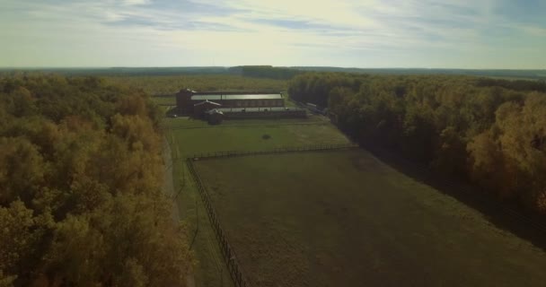 Schilderachtig Landschap Herfst Zonnige Avond Schot Van Een Drone Vliegt — Stockvideo