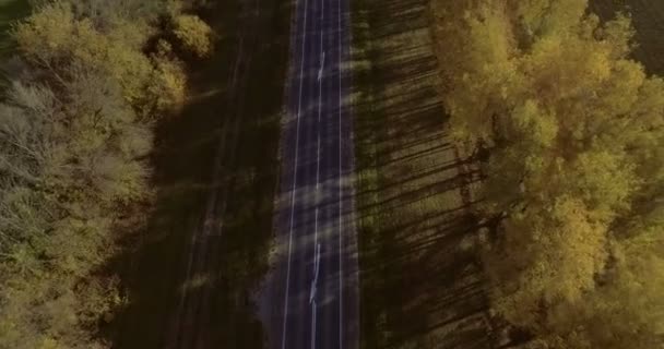 Luchtfoto vlucht over de weg in de herfst bos — Stockvideo