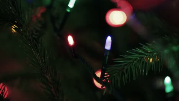 Decoratieve feestelijke kerstboom garland lichten — Stockvideo