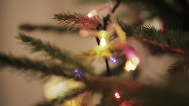 Μακροεντολή αναβοσβήνει γιρλάντα διακοσμημένο χριστουγεννιάτικο δέντρο — Αρχείο Βίντεο