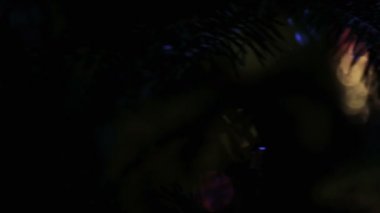 Noel ağacı ışıklı garland