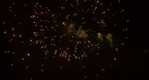 Fogos de artifício piscando no céu noturno . — Vídeo de Stock