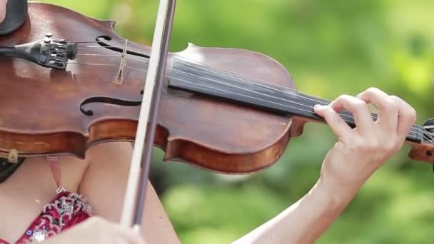 Mulher tocando violino no parque — Vídeo de Stock