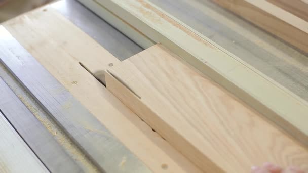 Carpenter sawing plank on a saw circulation in workshop — Stock Video