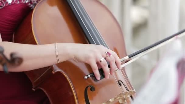 Музикант грає контрабас в літньому парку — стокове відео