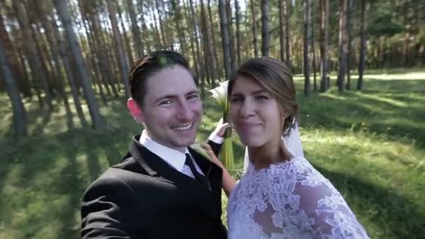 Hermosos novios tomando una selfie en el parque . — Vídeos de Stock