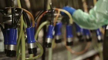 inekleri sağmak için Tarım makineleri