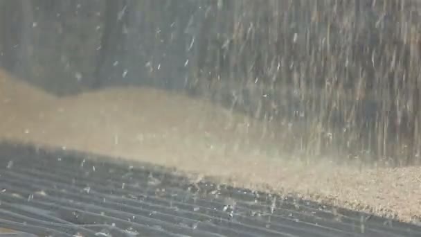 Caricamento del grano in un silo — Video Stock