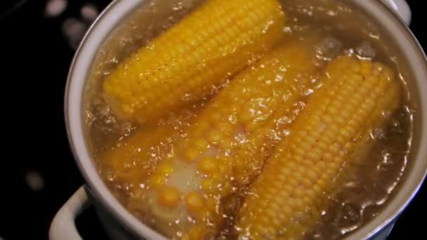 Preparazione di mais bollito. Mais giallo maturo in acqua bollente — Video Stock