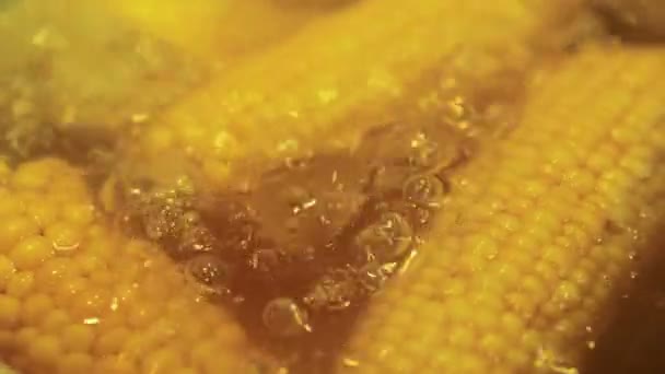 关闭黄色的玉米在水中煮沸 — 图库视频影像