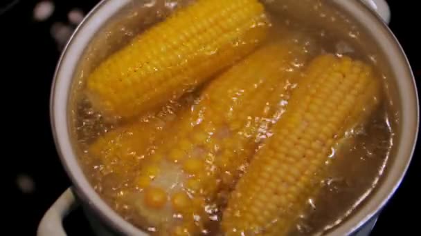 Sarı tatlı mısır tencerede kaynatıldı. — Stok video