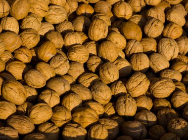 Yakından bakınca, kahverengi desenli kabuklu büyük bir ceviz yığını görülüyor. Fındıklar bir araya toplanır, çerçeveyi doldurur ve doğal güneş ışığıyla vurgular, sert, organik yüzeyi ve topraksı tonlarını vurgular..