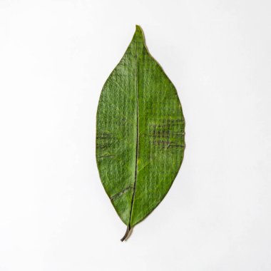 Sade beyaz bir arkaplana yerleştirilmiş tek bir yeşil yaprağın yakın plan fotoğrafı. Yaprak doğal dokuyu, belirgin damarları ve ince renk değişimlerini gösterir, bu da onu doğa, botanik ve eko-temalı kavramlar için uygun kılar..
