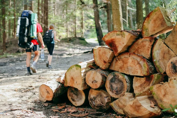 Jovens caminhadas com mochilas na floresta — Fotografia de Stock