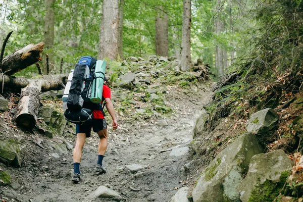 Молодой человек в походе с рюкзаком в лесу — стоковое фото