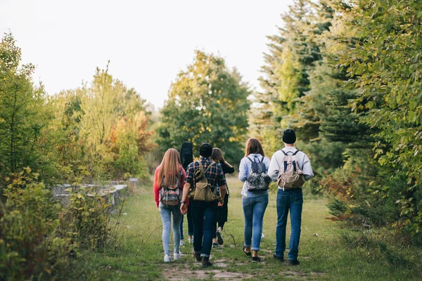 Gruppe von Freunden mit Packpacks im Wald — Stockfoto