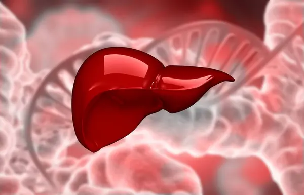 人間の肝臓は科学的背景にある 3Dイラスト — ストック写真