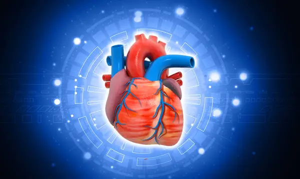 青い背景にある人間の心臓 3Dイラスト — ストック写真