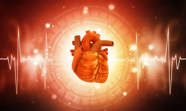 Menschliches Herz Auf Medizinischem Hintergrund Illustration — Stockfoto