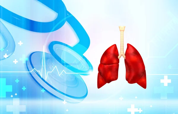 Lidská Plicní Anatomie Lékařském Zázemí Ilustrace — Stock fotografie