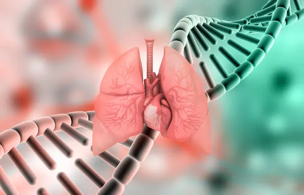 Anatomie Lidského Dýchacího Ústrojí Vědeckém Pozadí Ilustrace — Stock fotografie