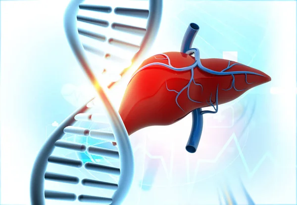 Dna 배경에 인간의 해부학 일러스트 — 스톡 사진