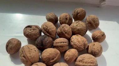 Natural light hits broken walnut halves. Concept of seasonal rhythm. Outdoor air. Daily manual effort. Ancient methods. Earthbound simplicity. Quiet farm day essence. High quality 4k footage