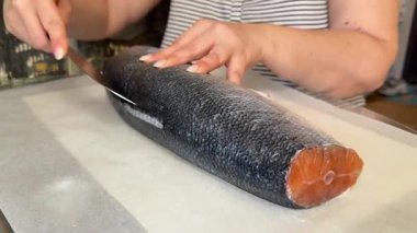 Woman chef preparing fresh salmon fish, sprinkling salt with the ingredients. High quality 4k footage
