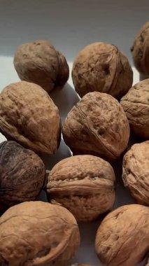 Natural light hits broken walnut halves. Concept of seasonal rhythm. Outdoor air. Daily manual effort. Ancient methods. Earthbound simplicity. Quiet farm day essence. High quality 4k footage