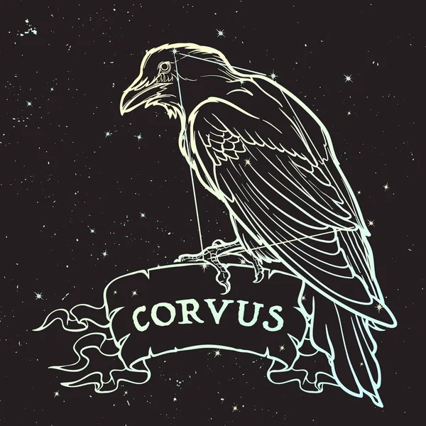 Constelación de Corvus. Black Raven sentado en una pancarta con un cartel. Dibujo de línea precisa aislado sobre fondo negro del cielo nocturno con estrellas . — Archivo Imágenes Vectoriales