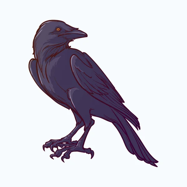 Black Raven sentado. Desenho de linha exata paited e sombreado. isolado em fundo branco. Elemento de design Halloween . — Vetor de Stock