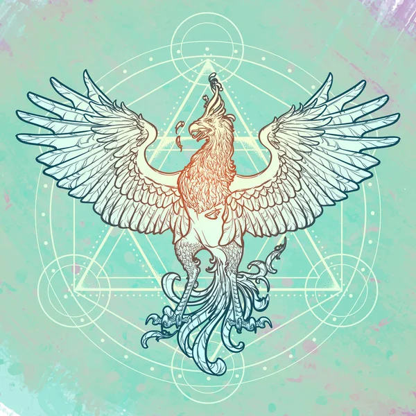 Dessin croquis de Phoenix et Davids étoile isolé sur fond texturé aquarelle . — Image vectorielle