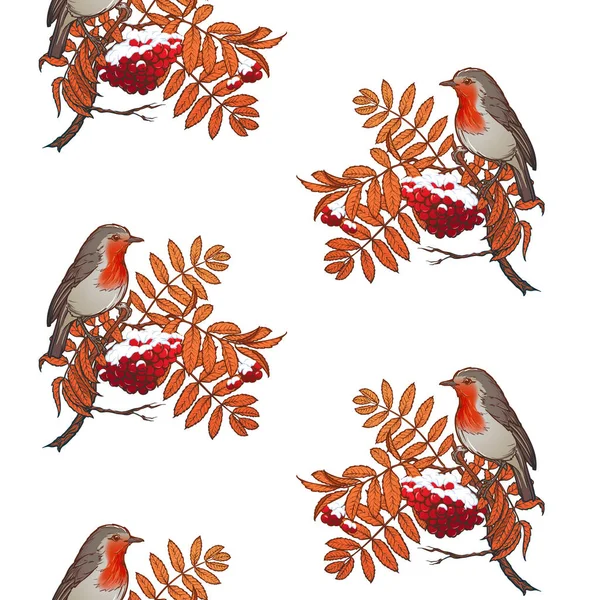 Weihnachten nahtlose Muster. Rotkehlchen sitzt auf einem schneebedeckten Vogelbeerbrunch — Stockvektor