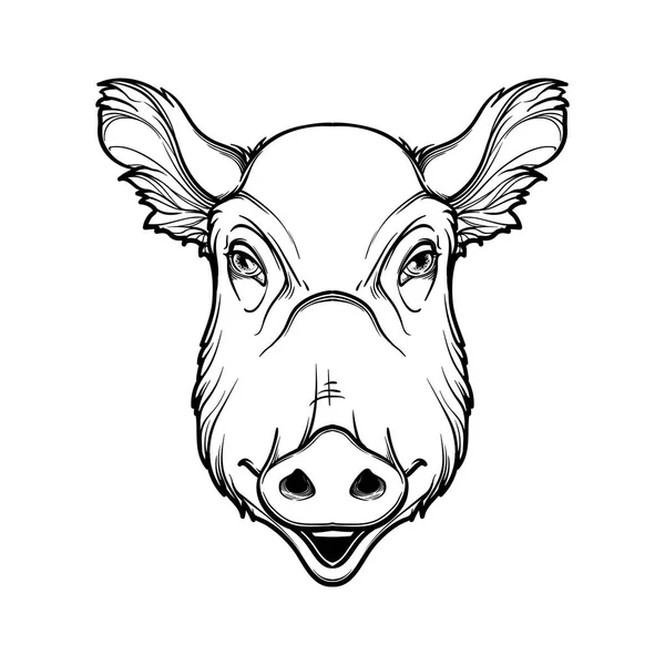 Jolie tête de porc. Dessin linéaire noir linéaire isolé sur fond blanc . — Image vectorielle