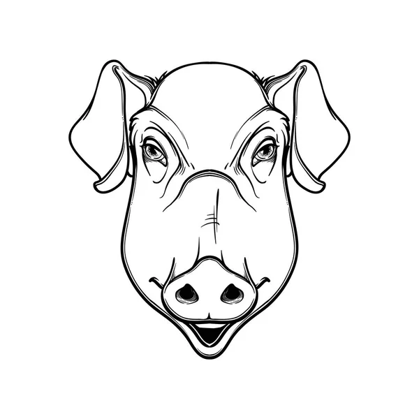 Cabeça de porco gira. Desenho linear preto linear isolado sobre fundo branco . — Vetor de Stock