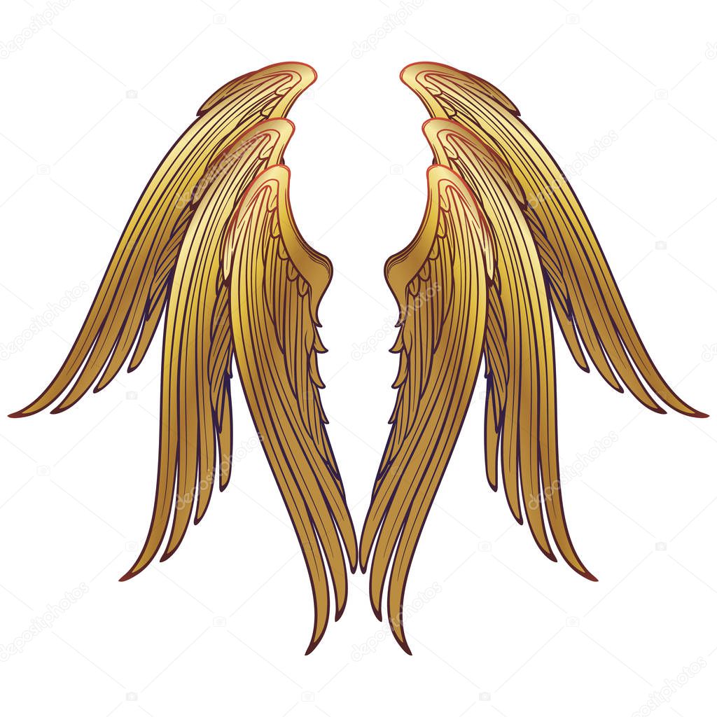 6 winged seraphim wings template