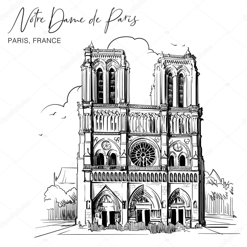 Notre Dame de Paris cathedral beautiful facade. Linear sketch on a watercolor textured background.