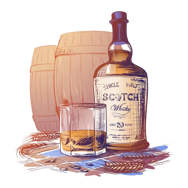 Botella de whisky escocés, vidrio y barriles con algunas espigas de cebada y granos. Dibujo pintado aislado sobre fondo blanco . — Vector de stock