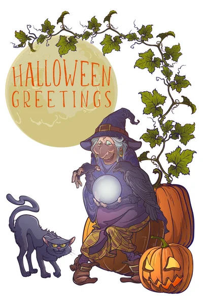 Alte Hexe mit ihrem schwarzen Raben und ihrer Katze, die eine Kristallkugel in der Hand halten und die Zukunft voraussagen. Grußkarte. — Stockfoto