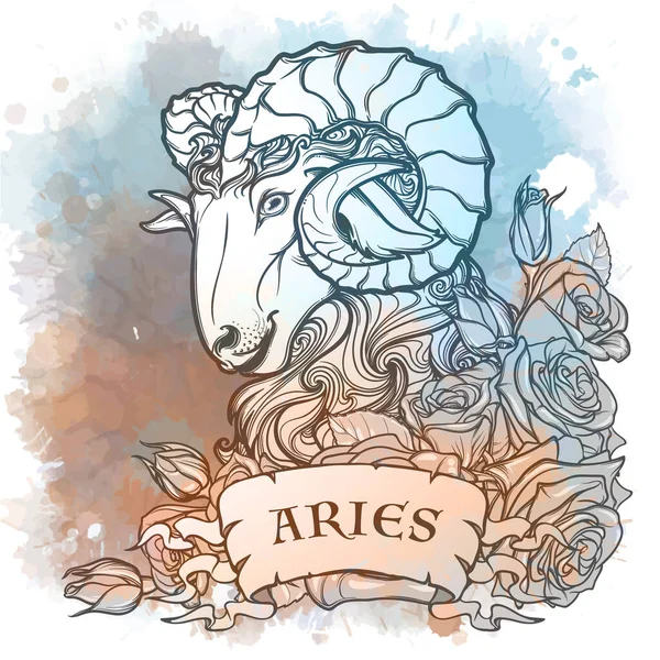 Zodiac sign of Aries, element of Fire. Intricate linear drawing on watercolor textured background. — Stock Vector