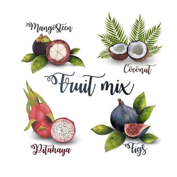 Mélange de fruits ensemble — Image vectorielle