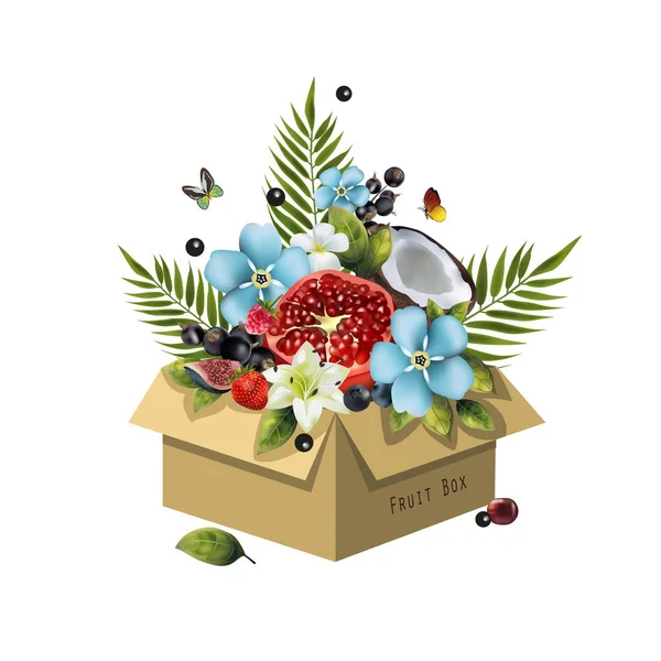 La boîte aux fruits — Image vectorielle